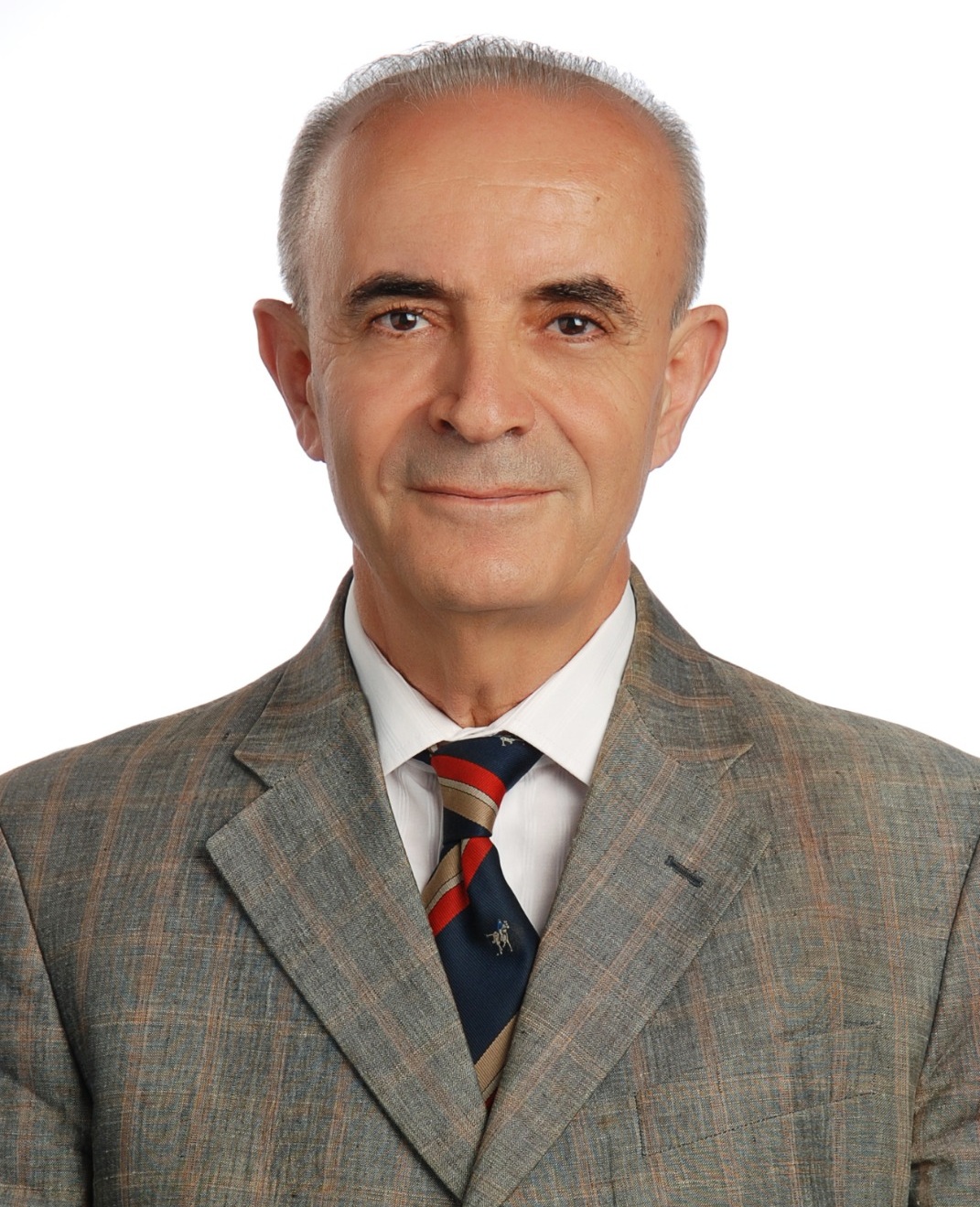 Adnan Serpen